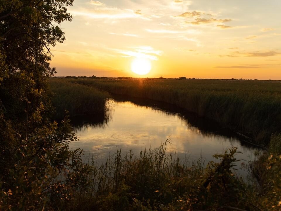 0461e513-bea5-4d37-aa68-b38df5c93aef