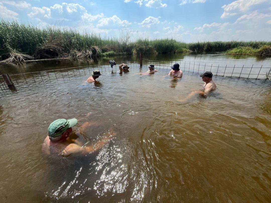 68231f21-bc7a-4030-abdb-4c63e1ea77c4