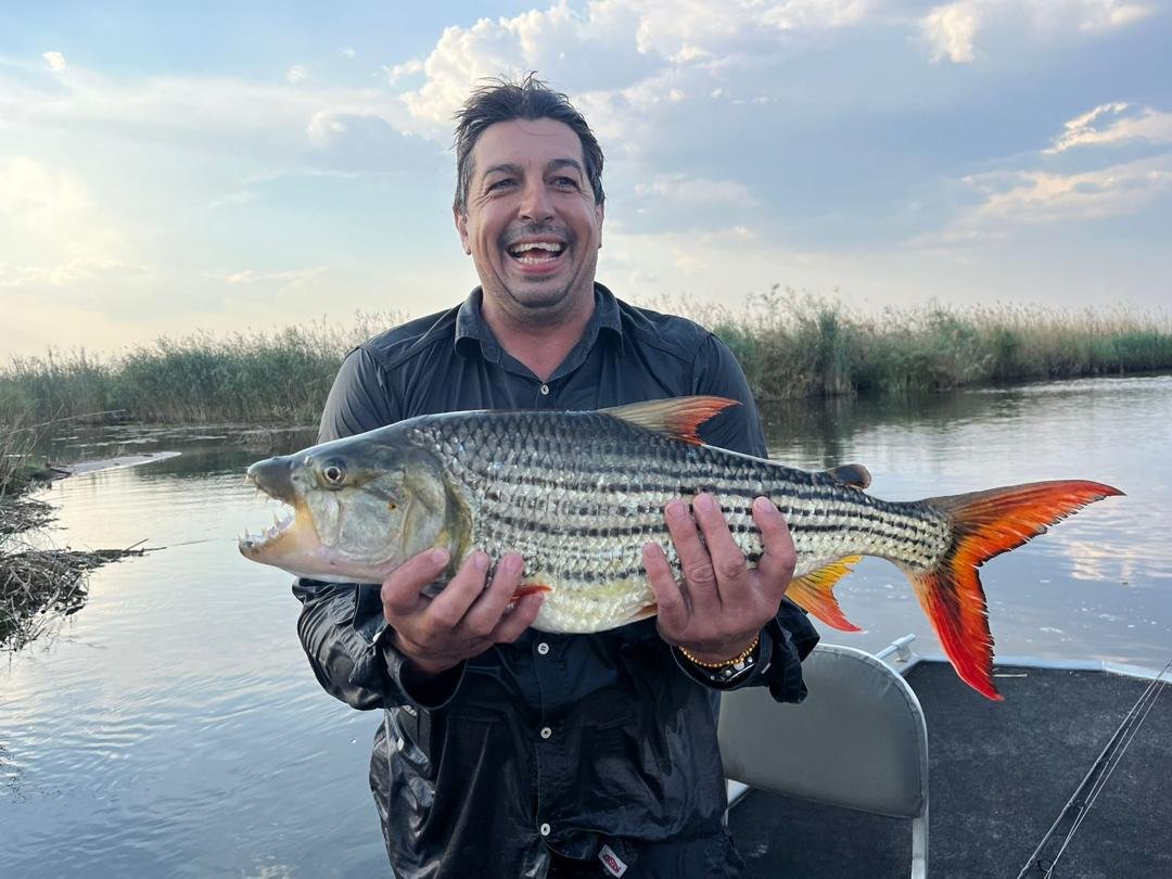 74985eb5-ee10-4752-9587-a3cadfc91cf1