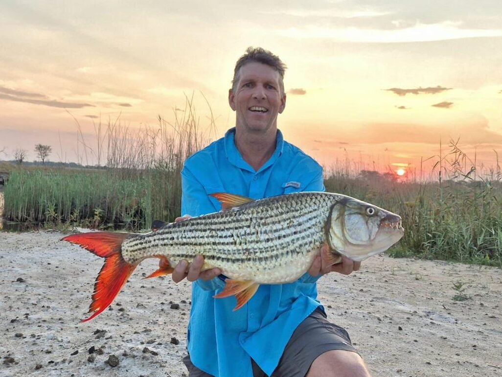 84749b12-cb1c-46e7-bfcd-3bba4542a6ed