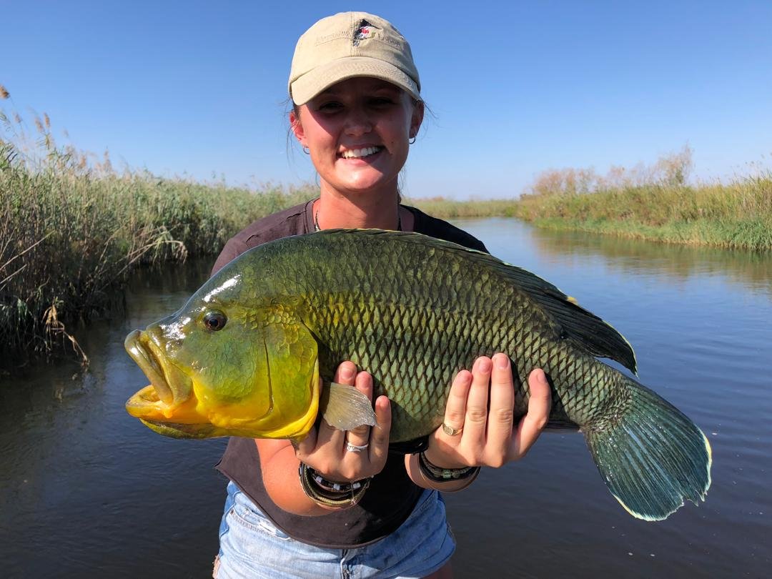 ab718a75-bad8-4314-924f-d9adfd073973