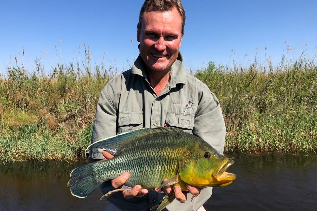 bbae6be7-1989- (3:2)