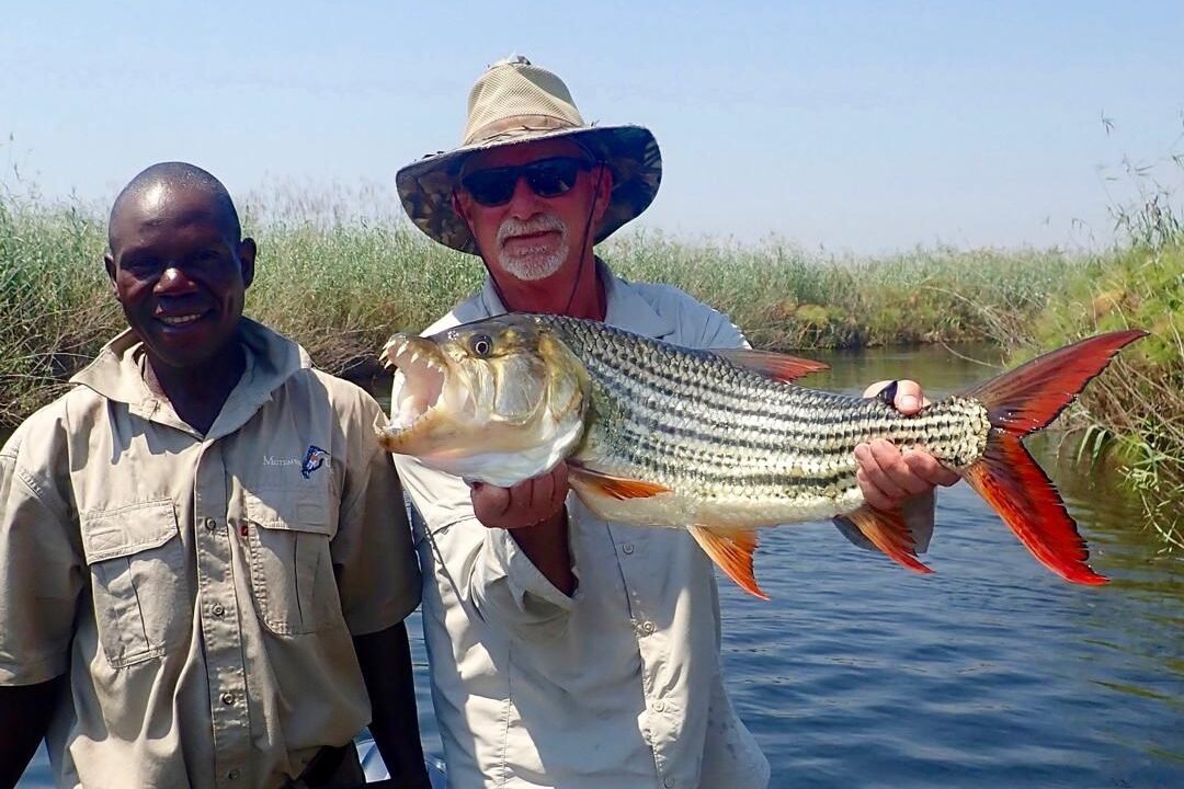 c0ba1b03-5573-4e23-a9bd-21a9e30ea70c