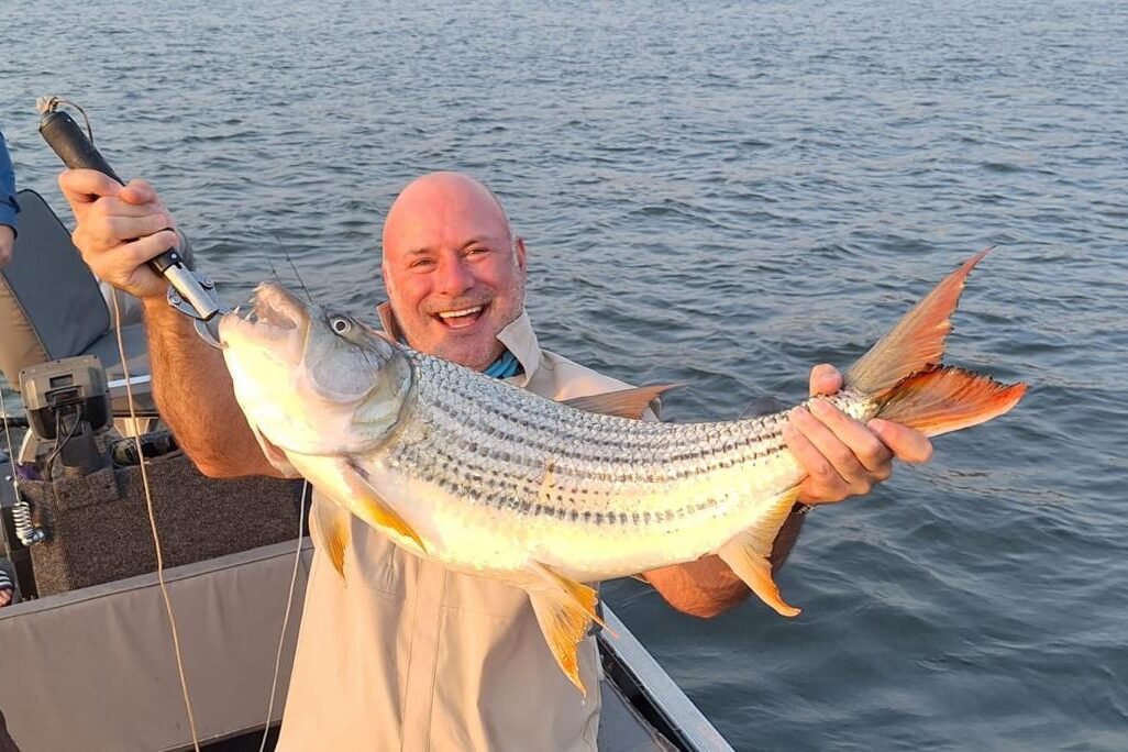 df31d641-5061-4f31-b7fa-7cf588667478 (3:2)