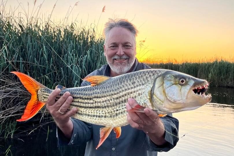 e56371d0-4373-4148-964d-48986fa11880