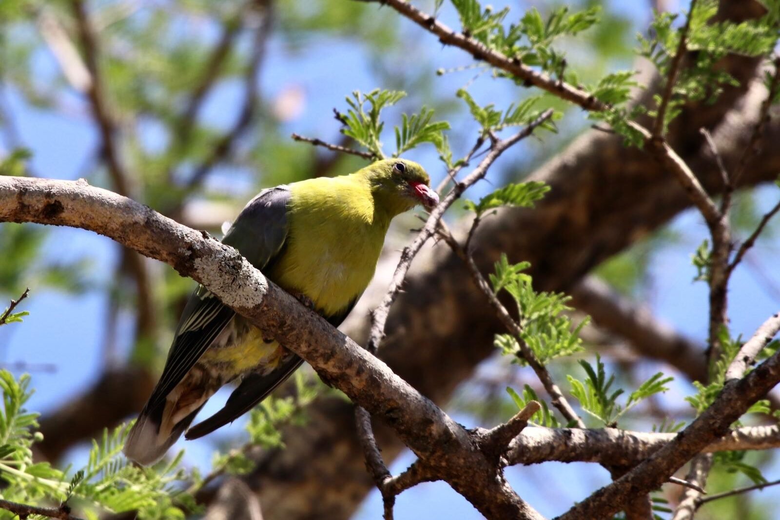 75146f4b-d74f-4cf6-8d84-e251fec51215