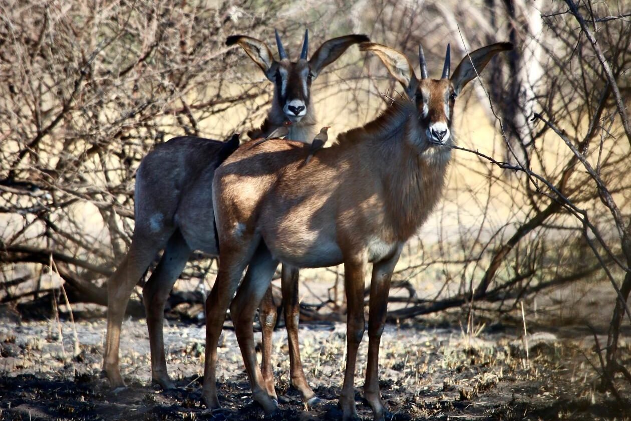 e277deb9-e760-425e-b265-b71f27c6ce84