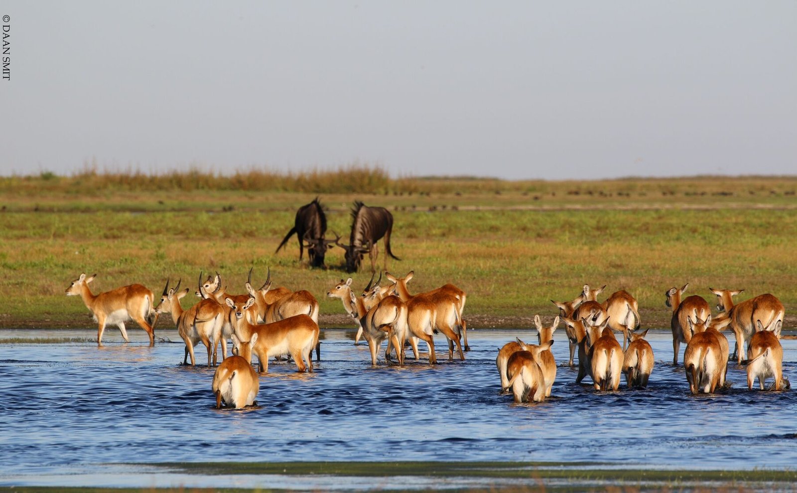 Biodiversity Conservation in Liuwa National Park Zambia Daan Smit 10.jpg LOW RES_max1800x1200